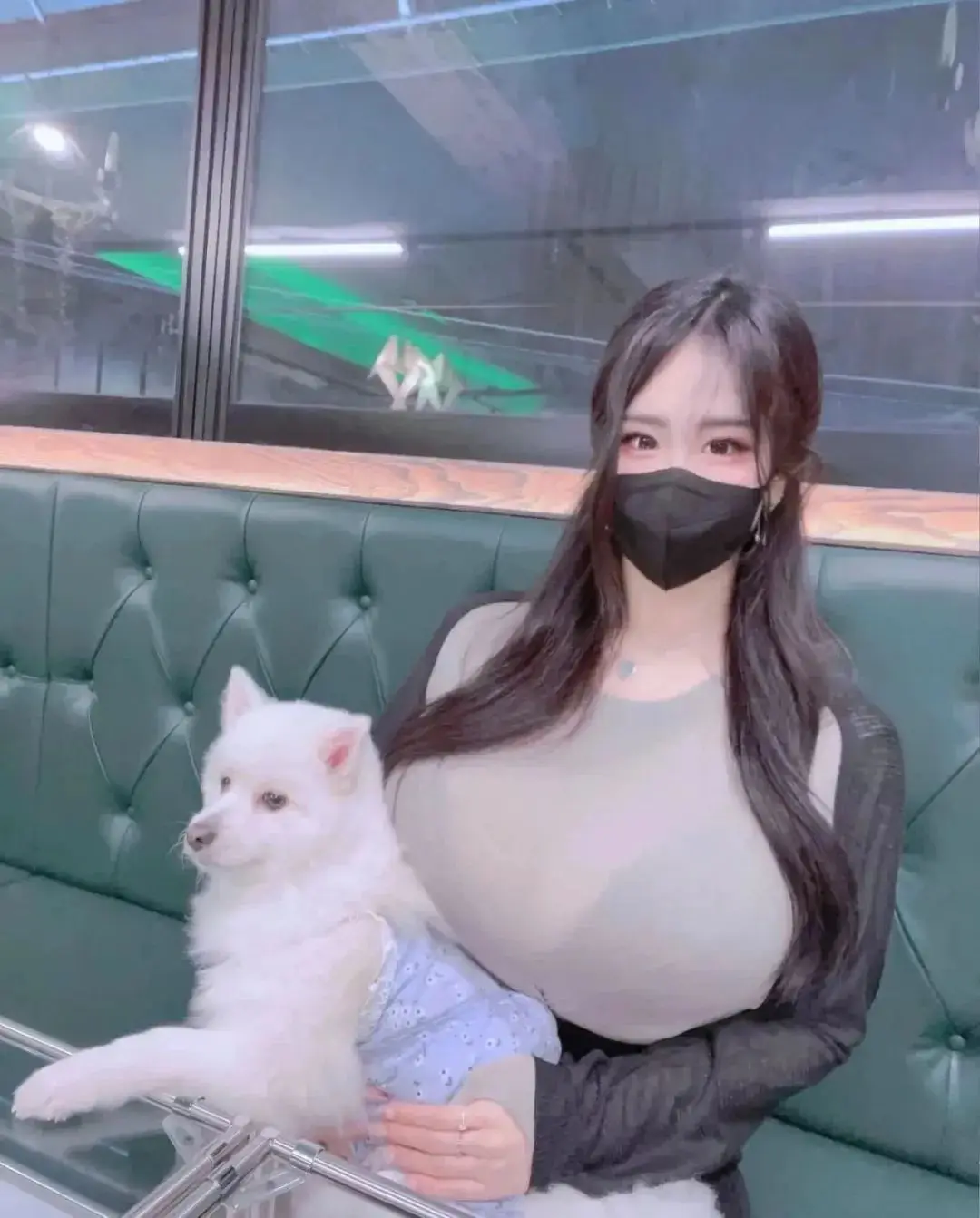 娱乐星空下载app苹果安卓版